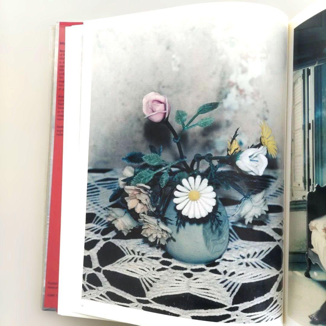 Nadav Kander:Beauty's Nothing/写真集 作品集 洋書