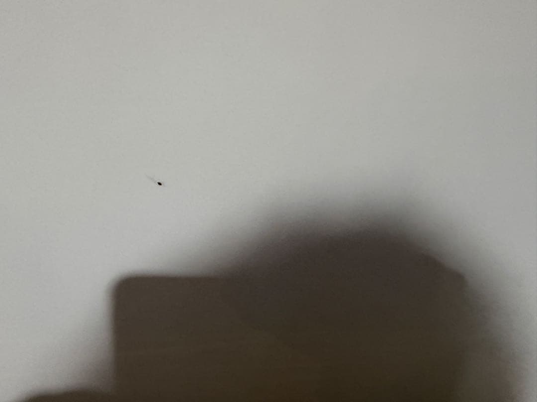 2023年製 奈良発 ニトリ 食器棚 120幅 キッチン レンジ ボード 家電