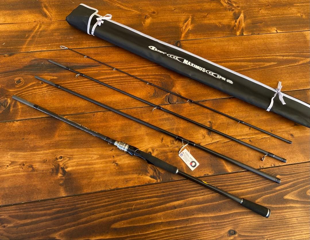 ショアジギングセット 10ft スピニング 300MH ライトショアジギング