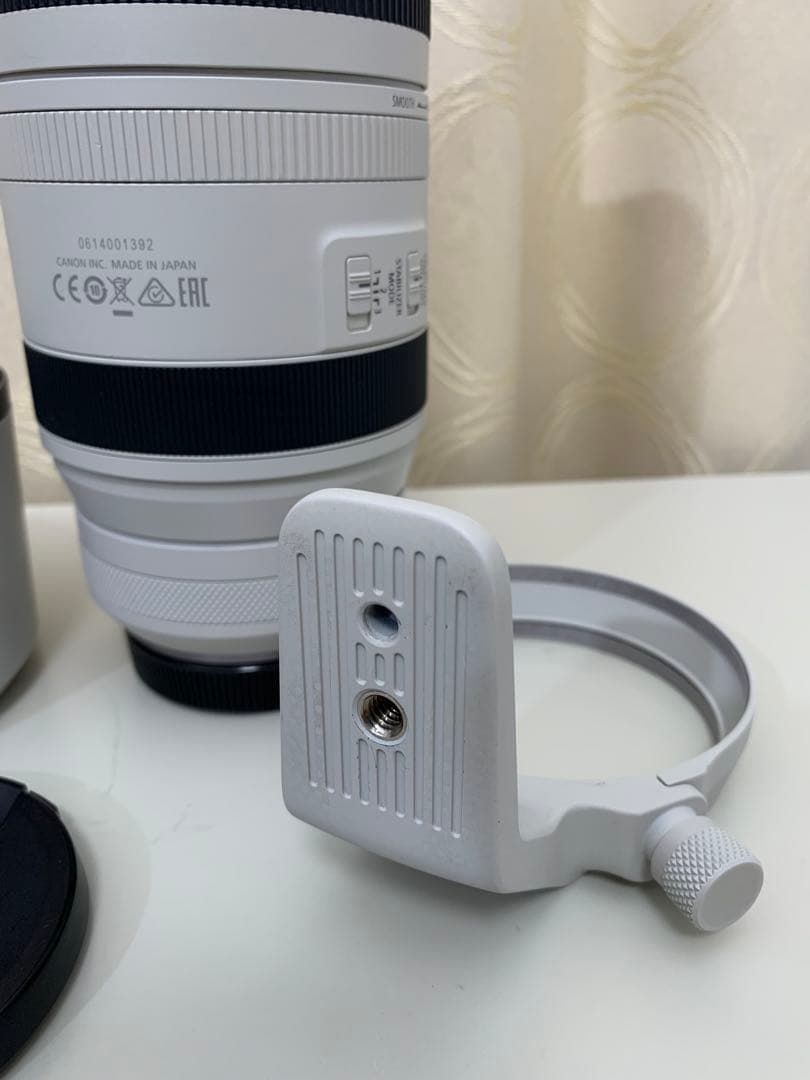 【美品】Canon RF 100-500mm F4.5-7.1 L IS USM