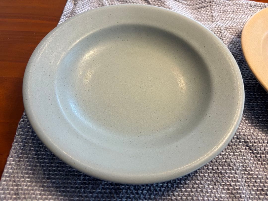 あわびウェアパスタ皿　２枚セット