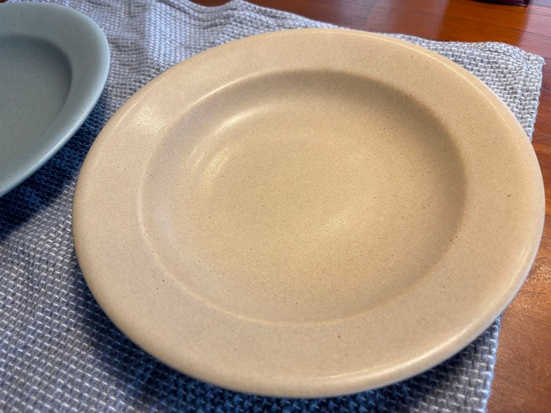 あわびウェアパスタ皿　２枚セット