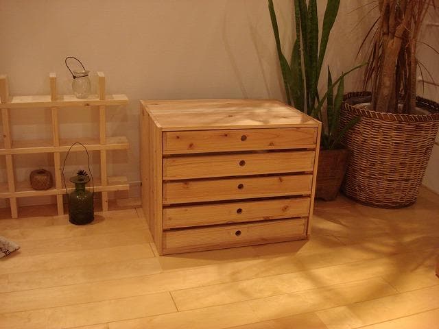 riri toypoo★送料込み★オーダー丸穴5段引き出し