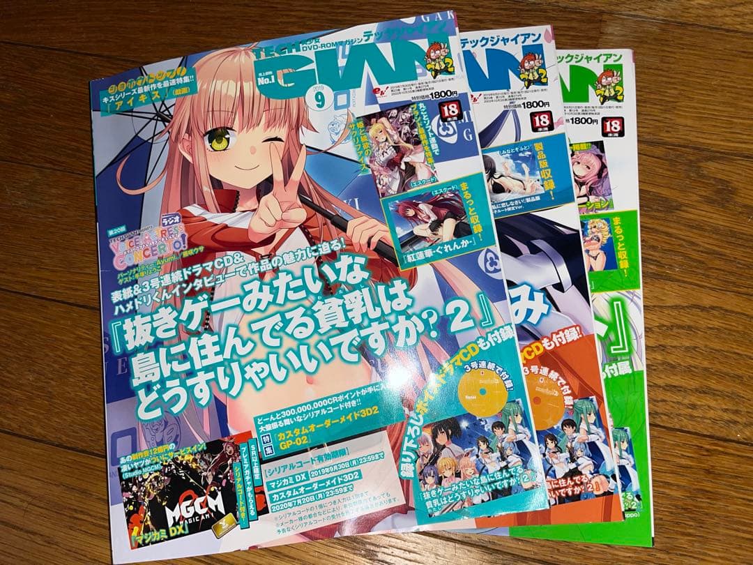 ぬきたし2ドラマCD TECH GIAN 2019年8～10月号付録 3枚セット