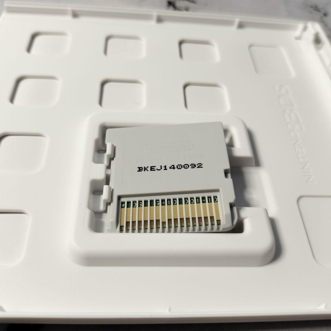 Karous　The Beast of Re:Eden　3DS　ソフト　レア