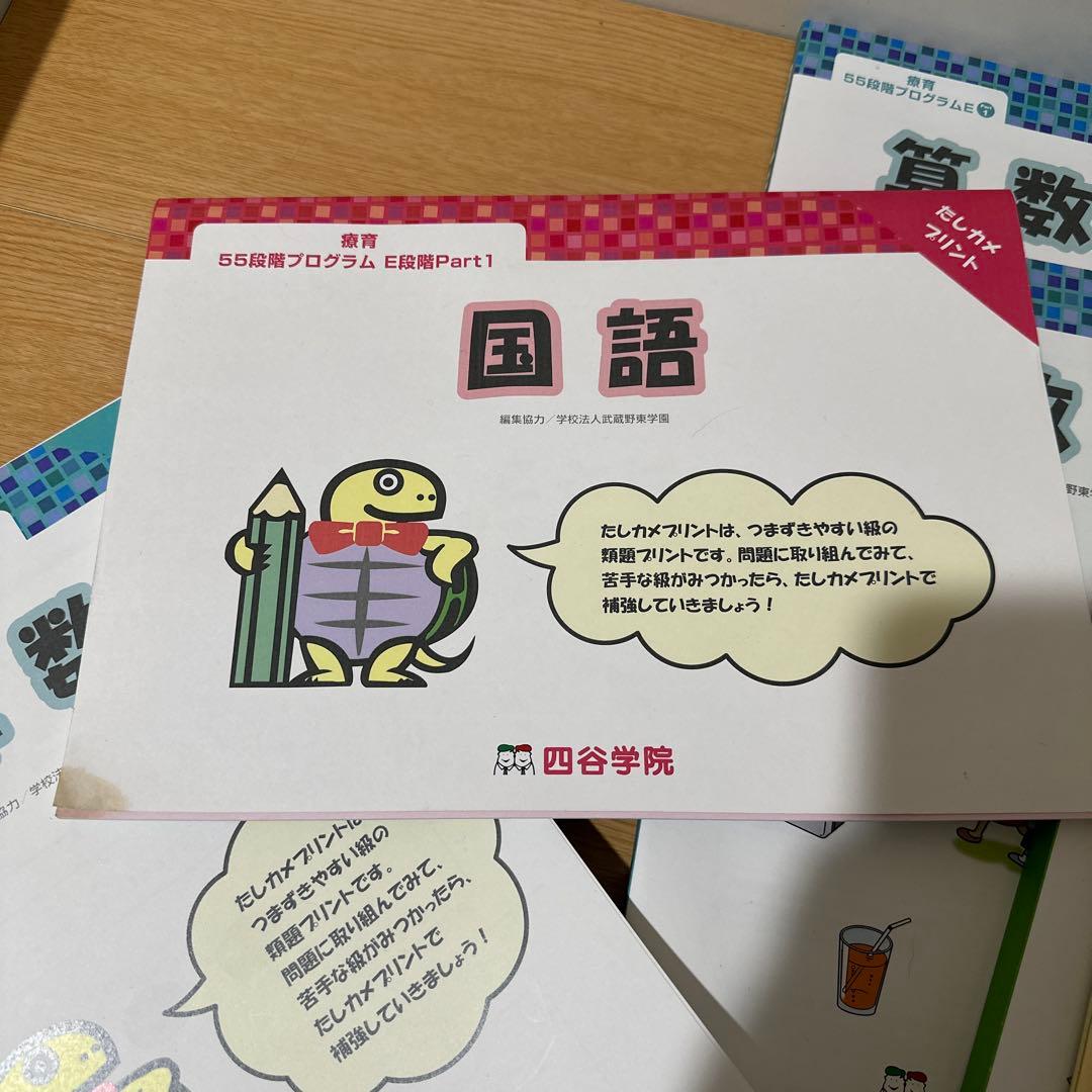 四谷学院　療育55段階プログラム　E段階