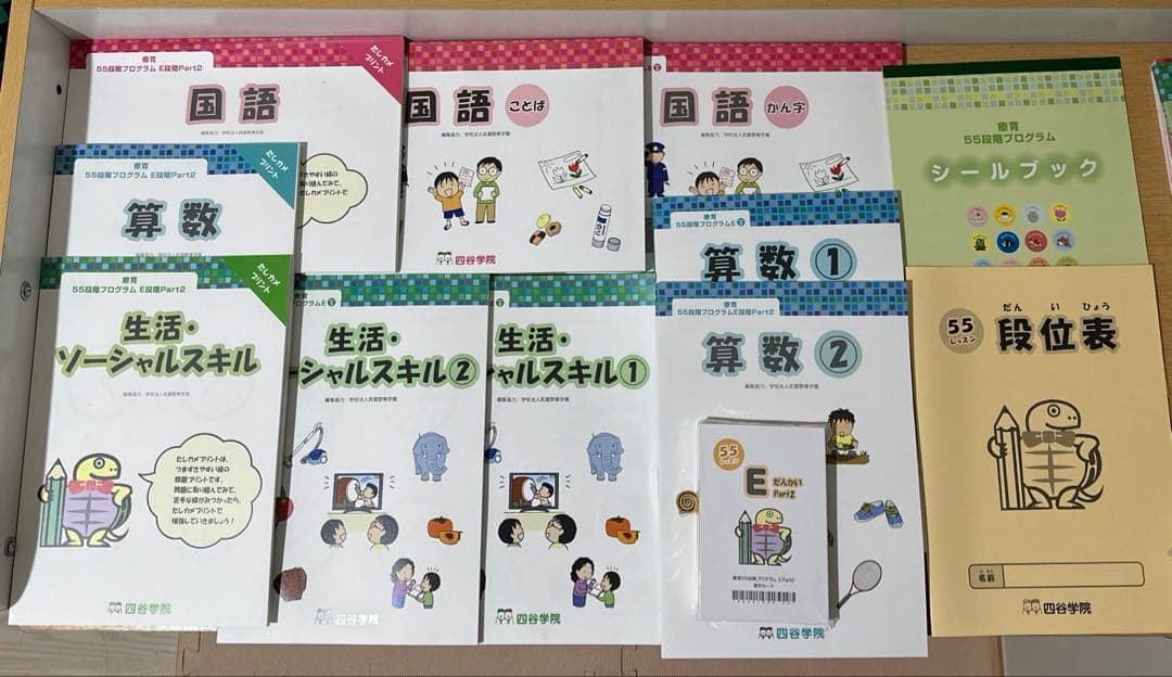 四谷学院　療育55段階プログラム　E段階