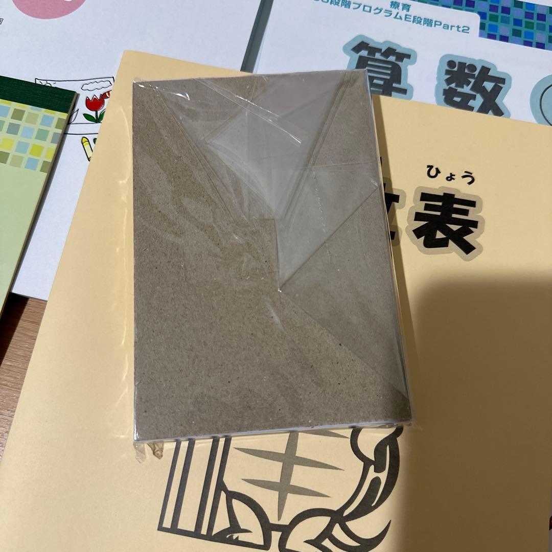 四谷学院　療育55段階プログラム　E段階