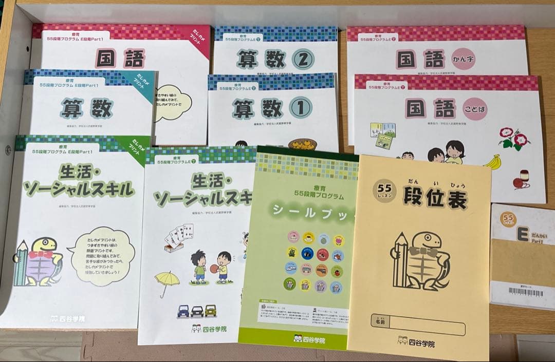 四谷学院　療育55段階プログラム　E段階
