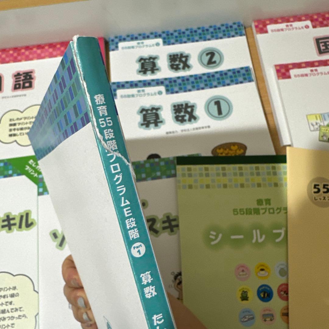 四谷学院　療育55段階プログラム　E段階