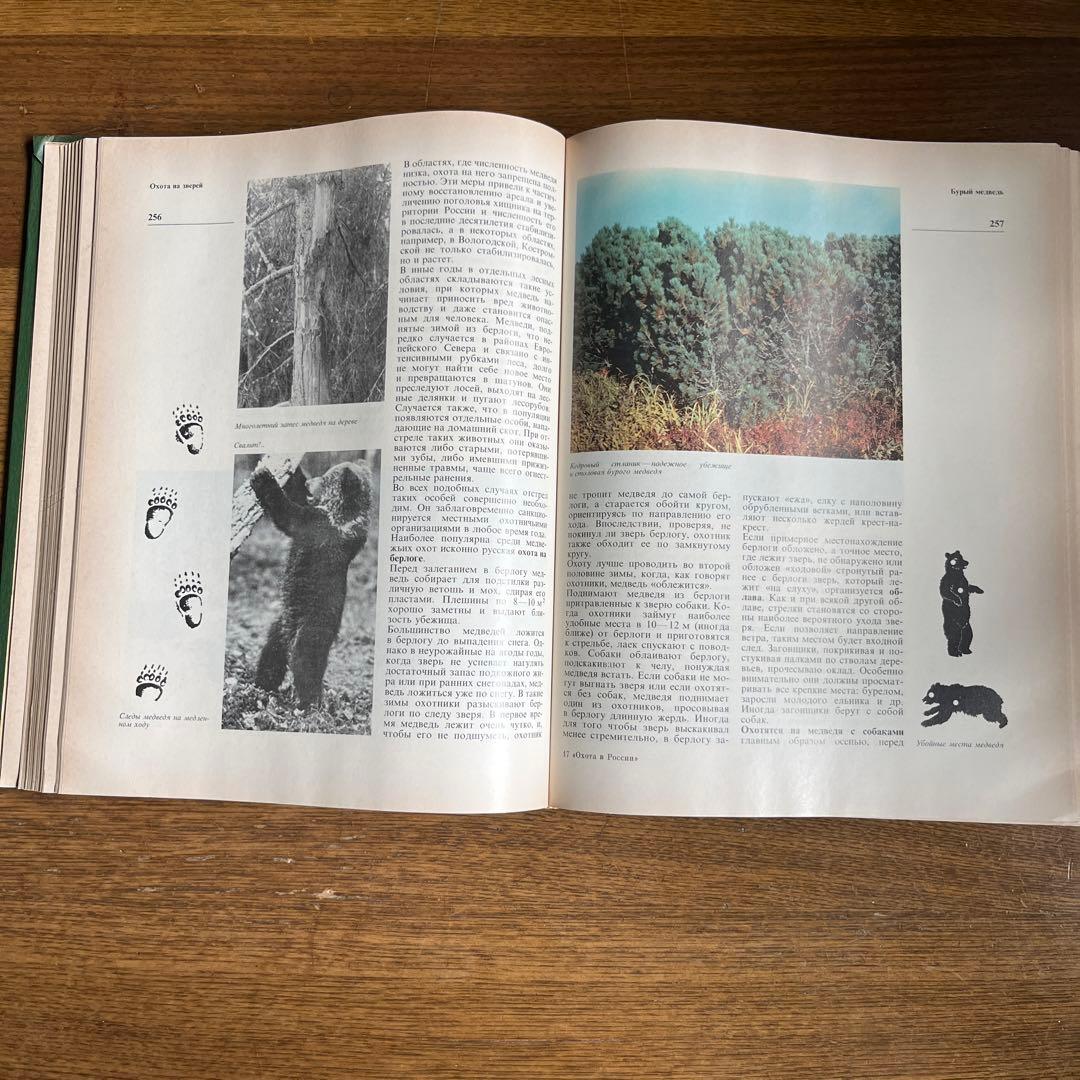 ロシア語　ロシアにおける狩猟
