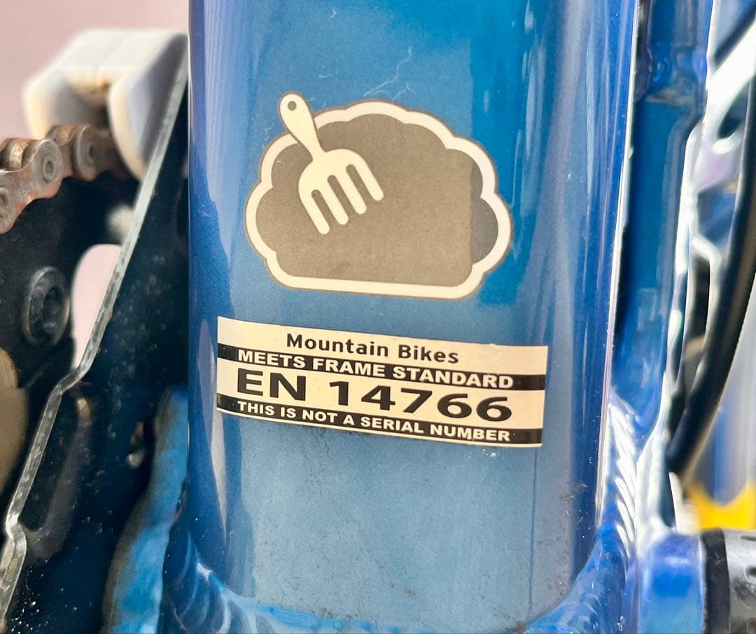 ②Rocky Mountain Flatline Park ダウンヒルバイク