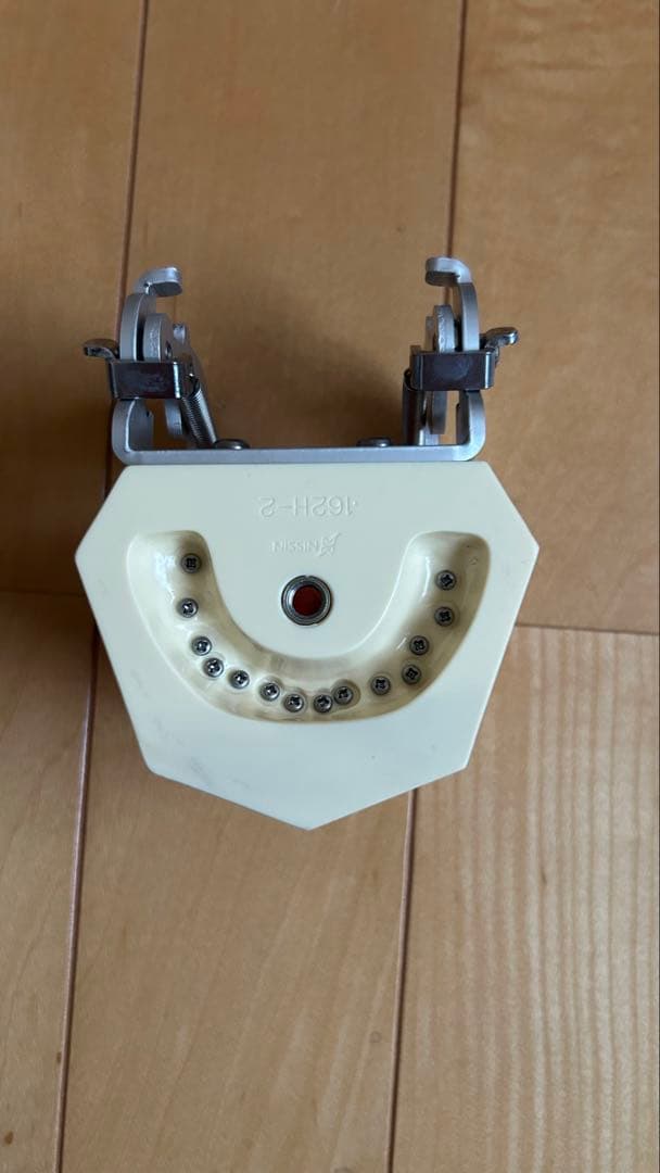 歯科衛生士顎模型ニッシンマネキン セット説明書付き