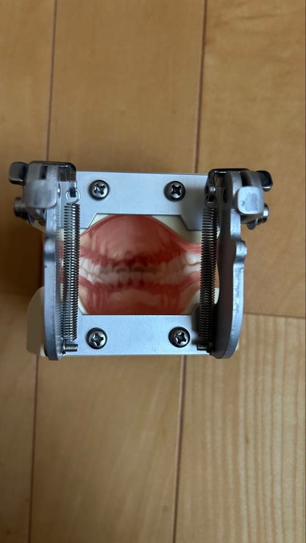 歯科衛生士顎模型ニッシンマネキン セット説明書付き