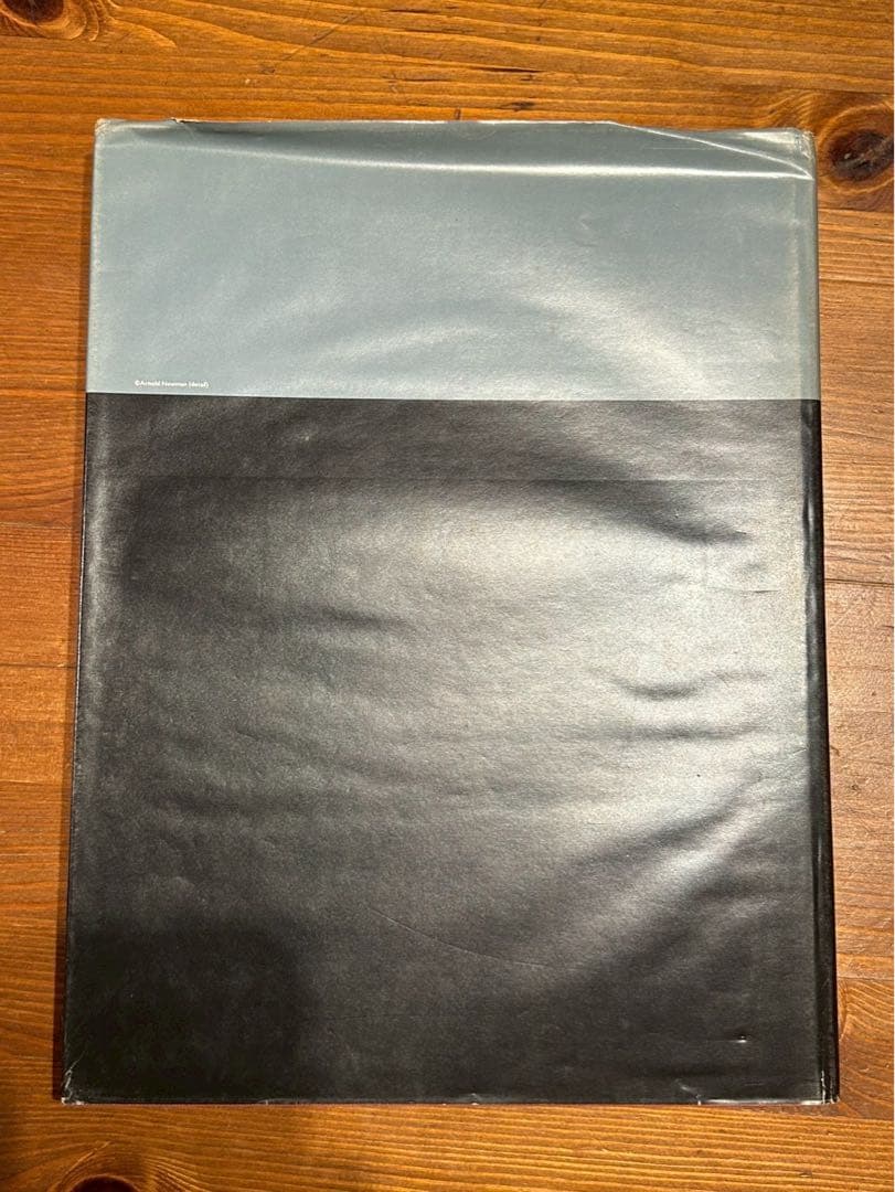 Frederick Kieslerフレデリック・キースラー