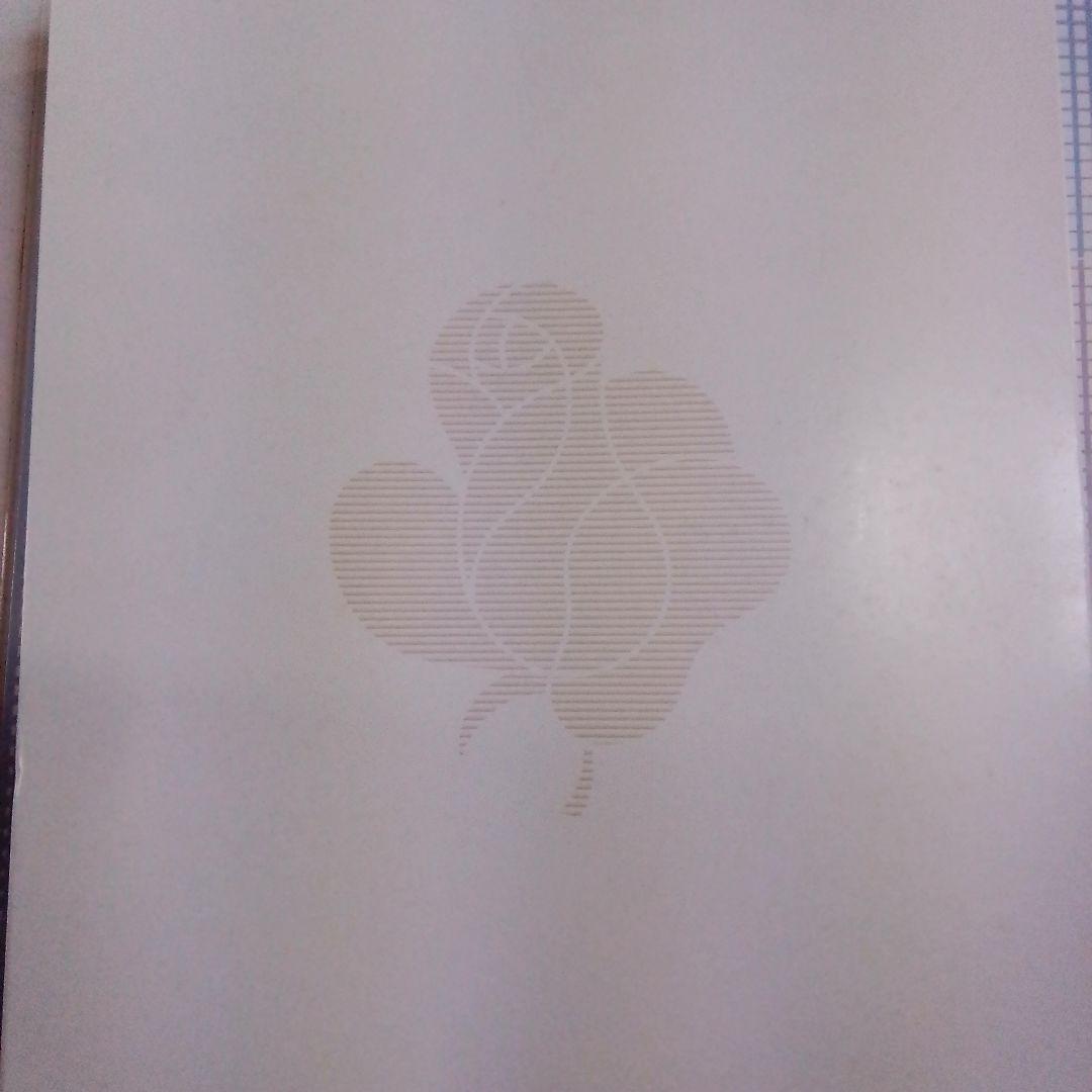 セリーヌ　綿毛布　2枚セット