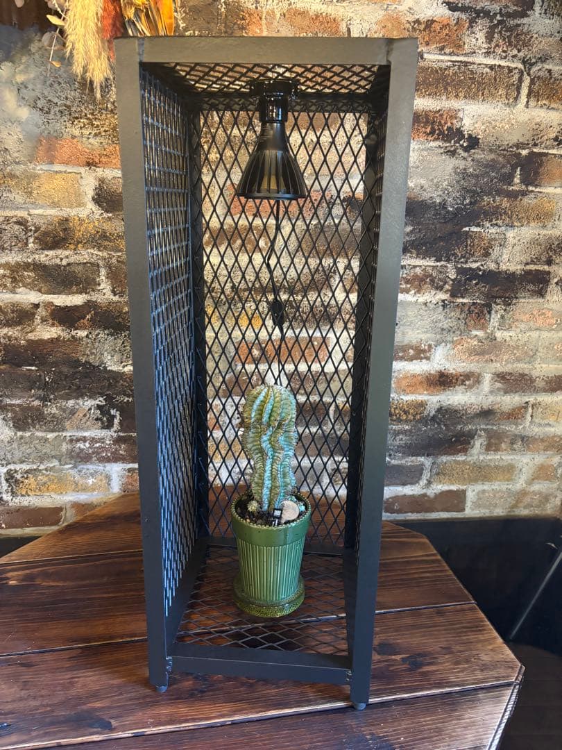 【年末セール特価】300×300mm インダストリアルな植物棚　アイアンシェル