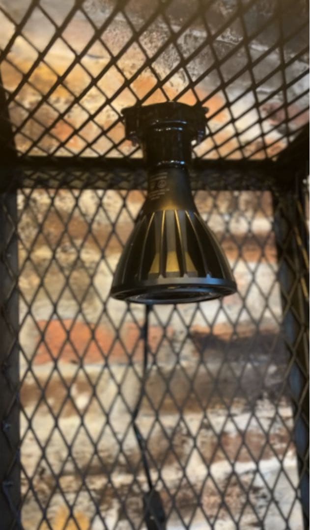 【年末セール特価】300×300mm インダストリアルな植物棚　アイアンシェル