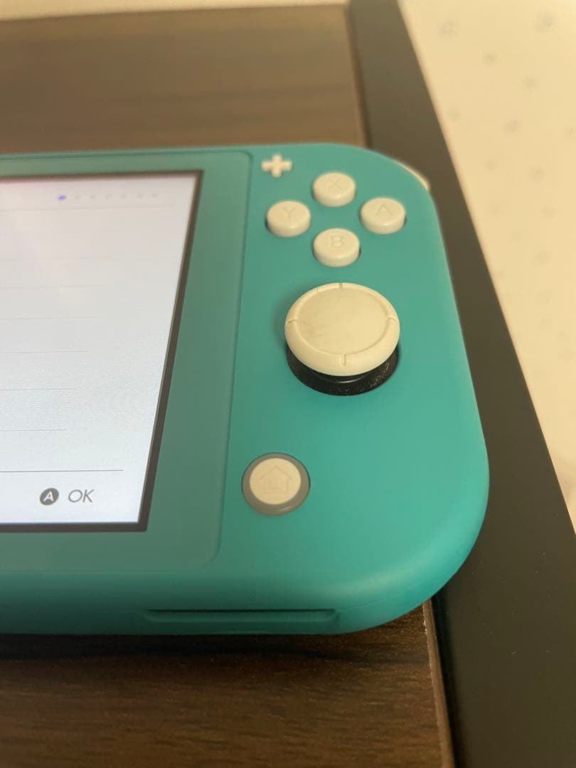 【動作確認済】ニンテンドーSwitchライト本体