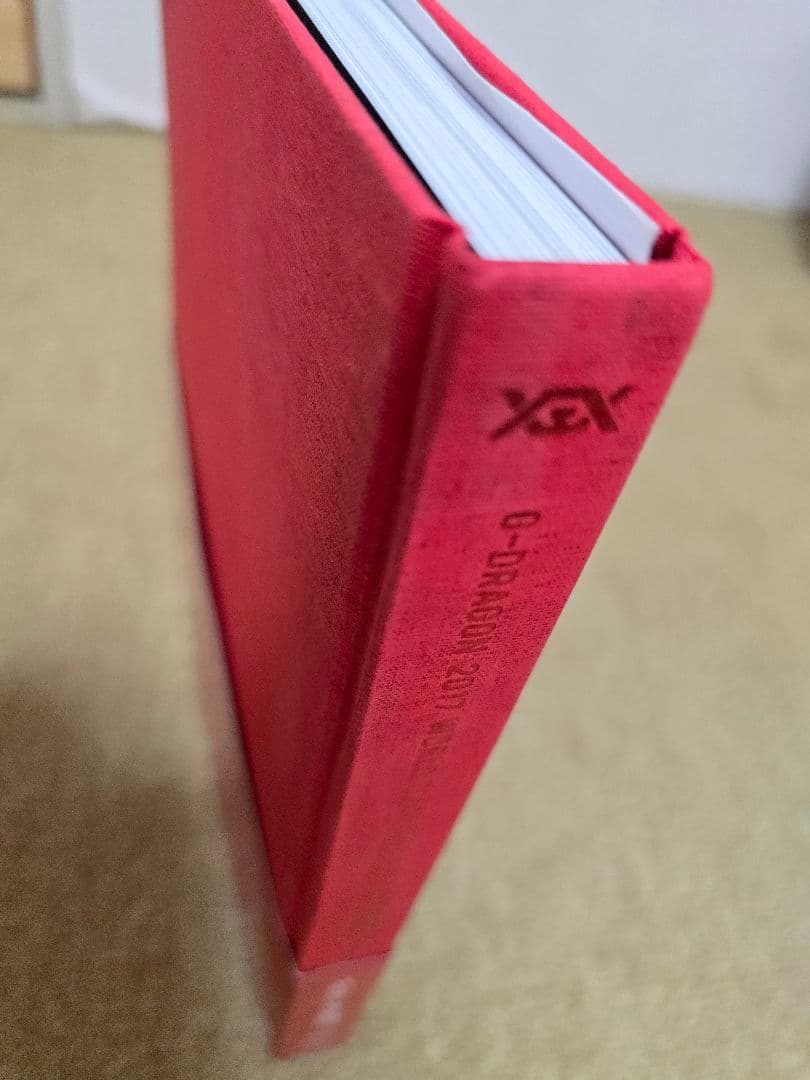 G-DRAGON(from BIGBANG)/G-DRAGON 2017 WO…