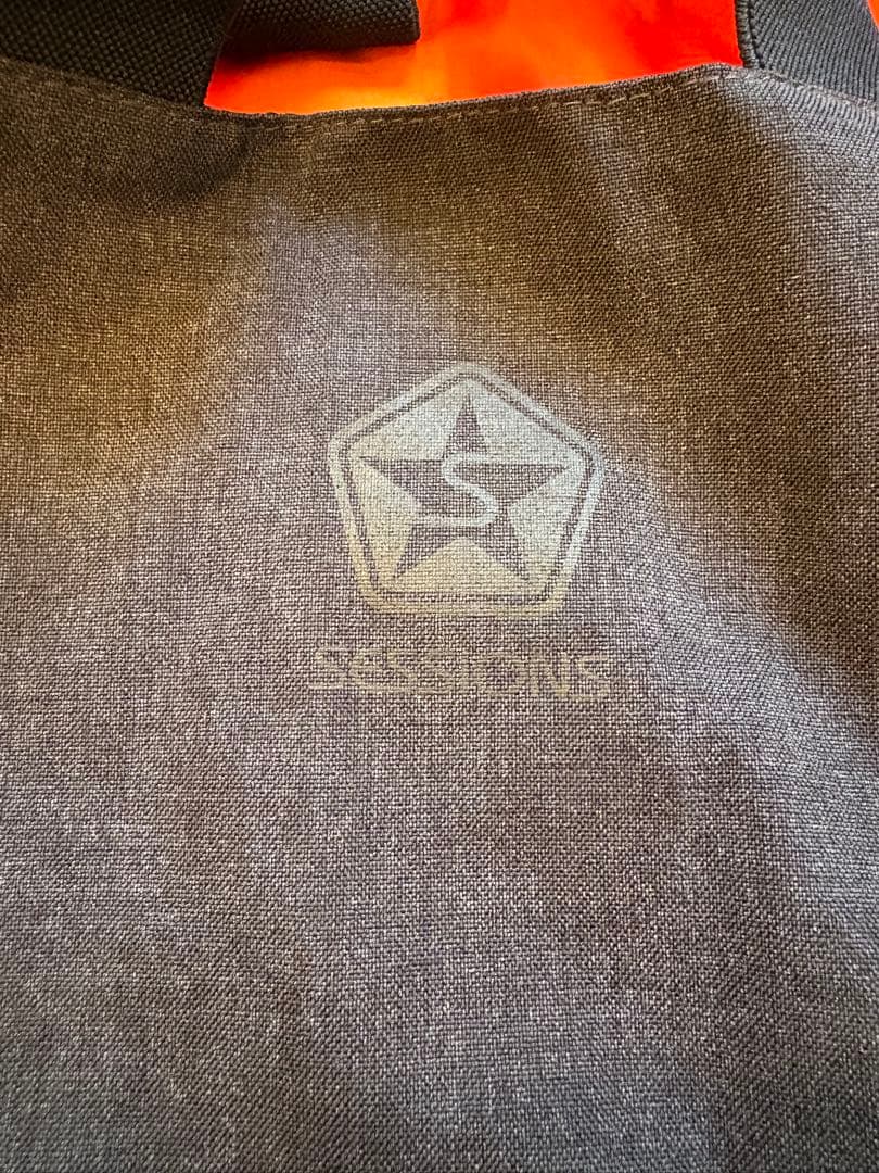 極美品 SESSIONS スキーウェア上下 Mサイズ