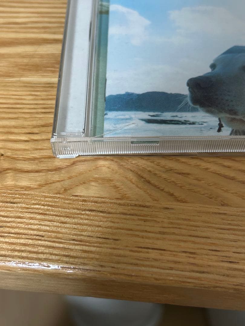 か*ん様 RADWIMPS 28点まとめ売りのみ アルトコロニーの定理キーホルダ