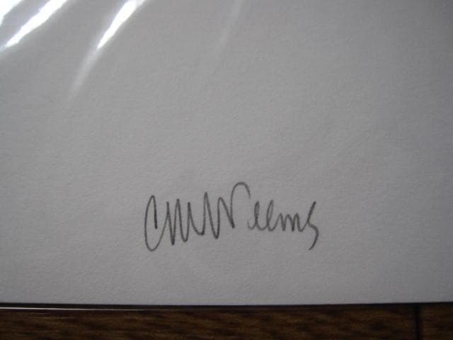 AFRICA: GEMS AND JEWELS　Carrie Mae Weems