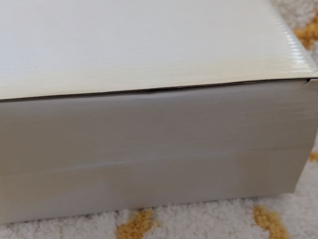 【激レア商品】ジュエリーケース