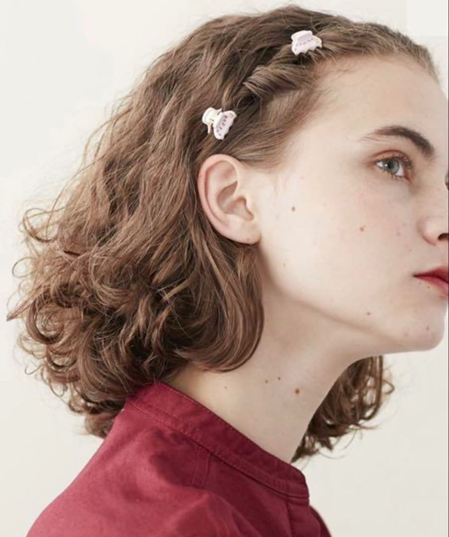 ☆新品☆アレクサンドルドゥパリ☆クリップXS(2cm)