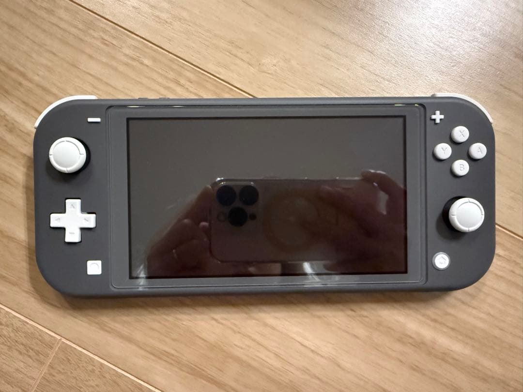 【美品】Nintendo Switch Lite グレー本体 箱&付属品込み