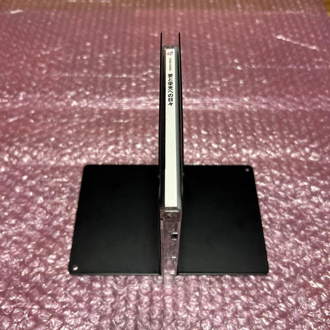 愛と栄光の日々 LIGHT OF DAY DVD