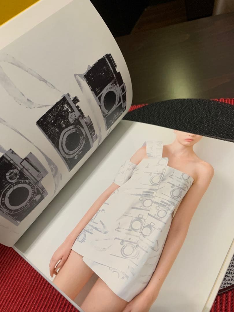 希少HENGE DASSEN morphosis, derailment