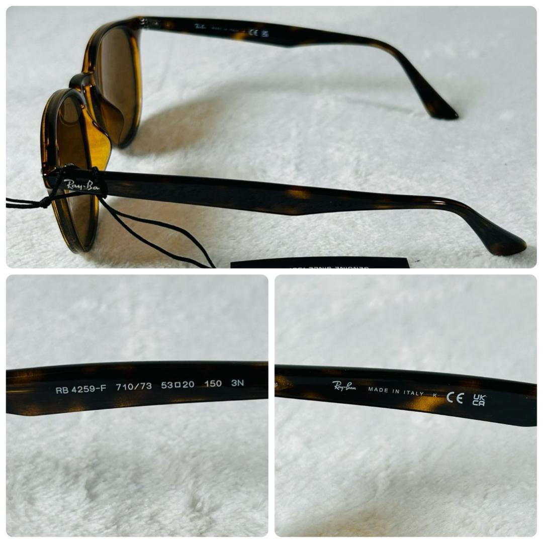 RayBan レイバン サングラス パントスシェイプ ダークブラウン