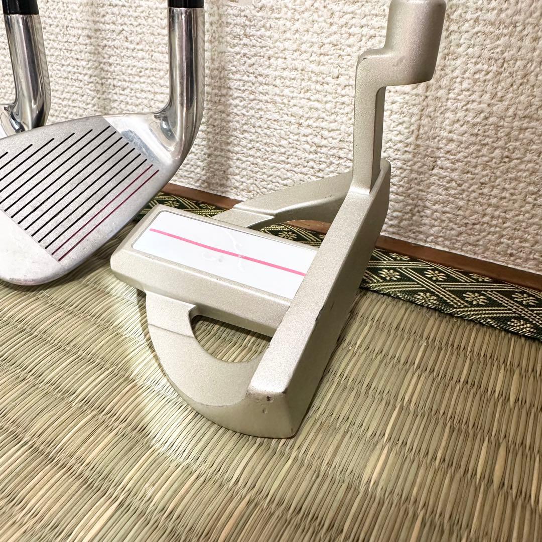 WORLD EAGLE レディース ゴルフクラブ 10本セット FL-01 V2