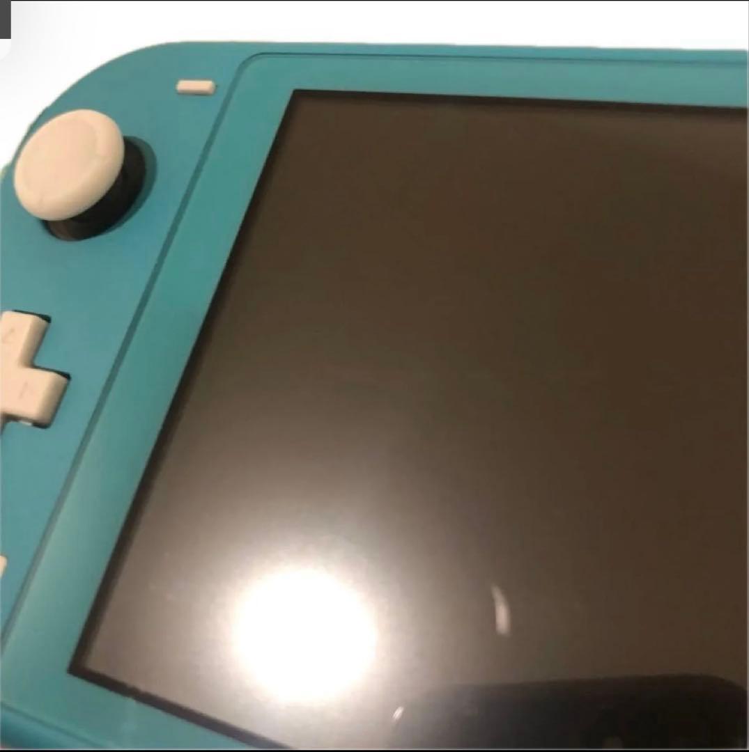 switch ライト　グリーン色　とケースのセット