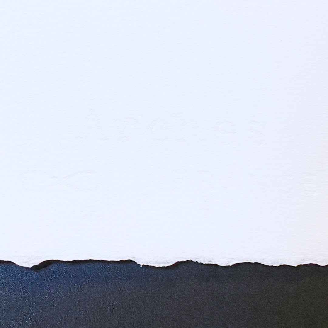 【模写】貴重 世界限定100枚 アンディ・ウォーホル ジョン・レノン リトグラフ