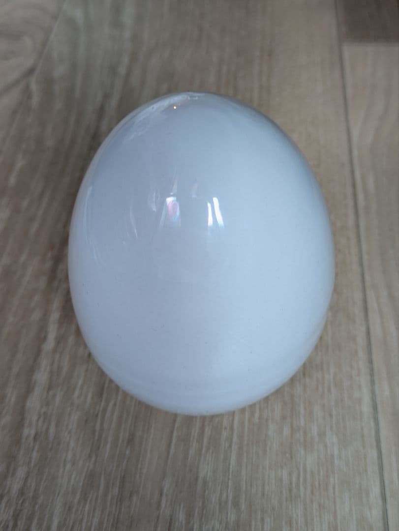 ラドンガス発生器　ラジウム鉱石　ホルミシス効果