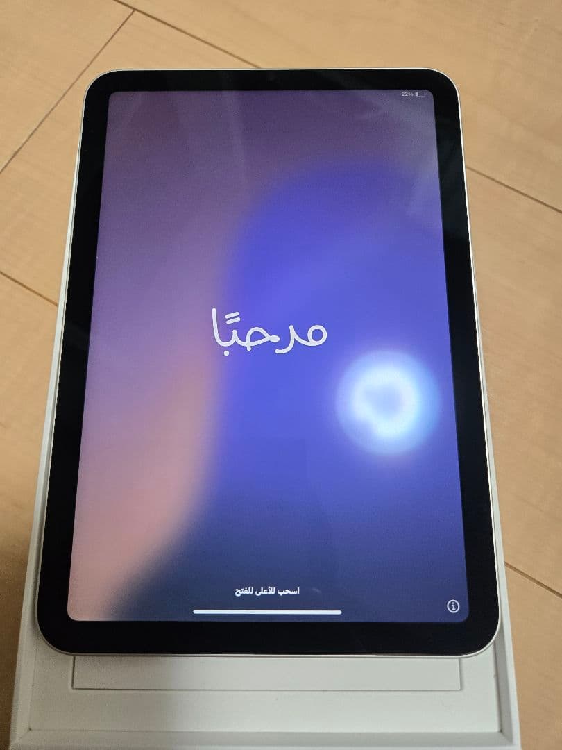 Apple iPad mini A17pro 本体と箱付き