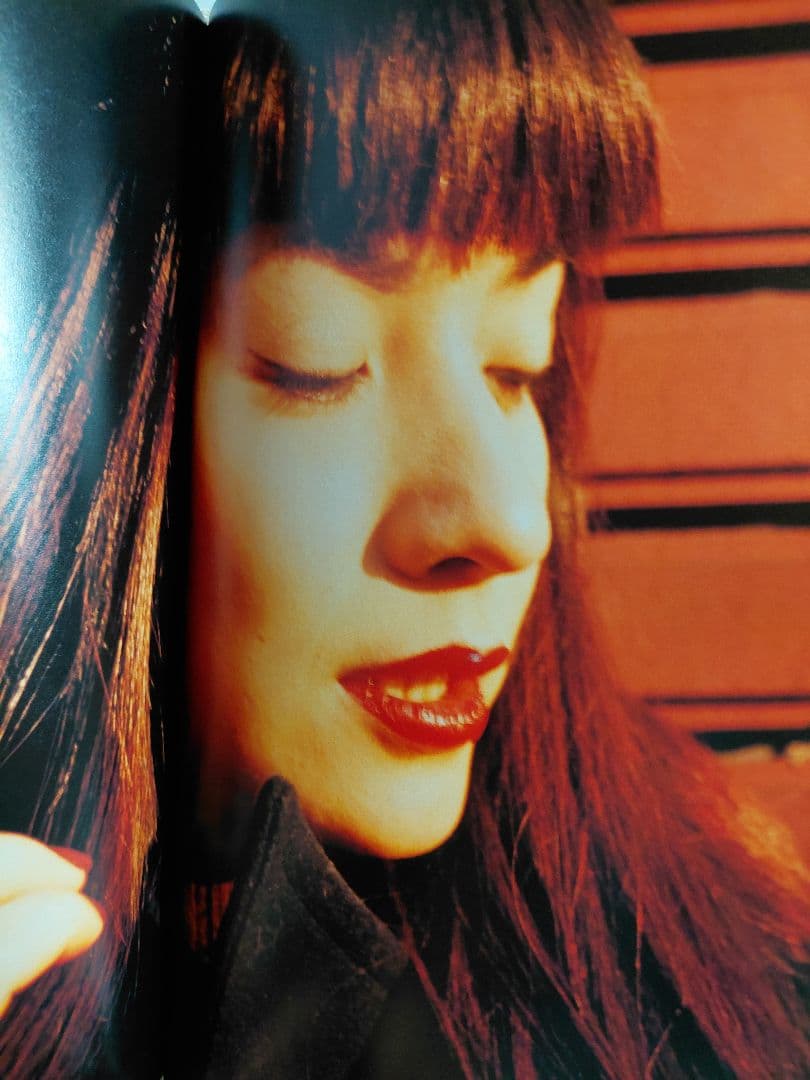 レア!希少!ヒロミックス Hiromix 写真集 ヒロミックス