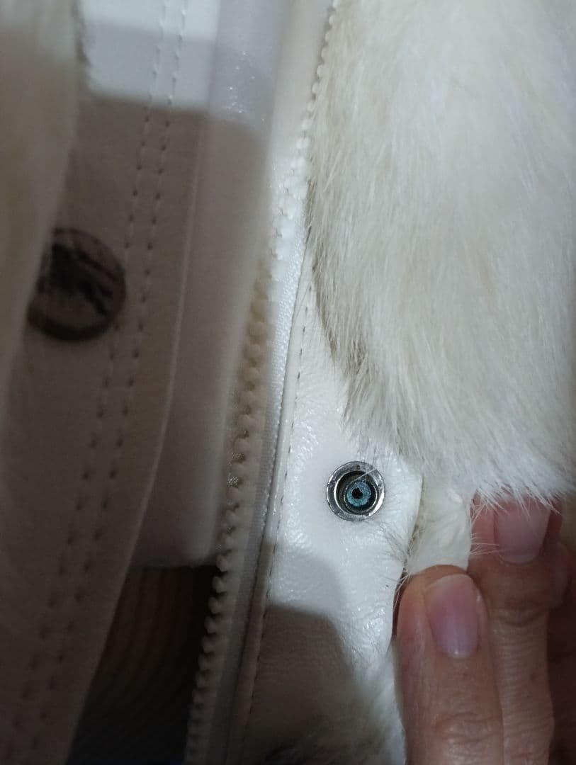 バーバリーブルーレーベル　ラビットファー　ジャケット