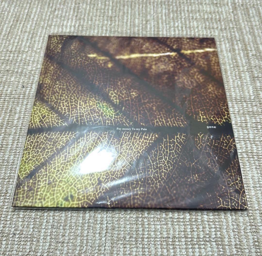 【新品未使用】Pay money To my Pain / LP レコードセット