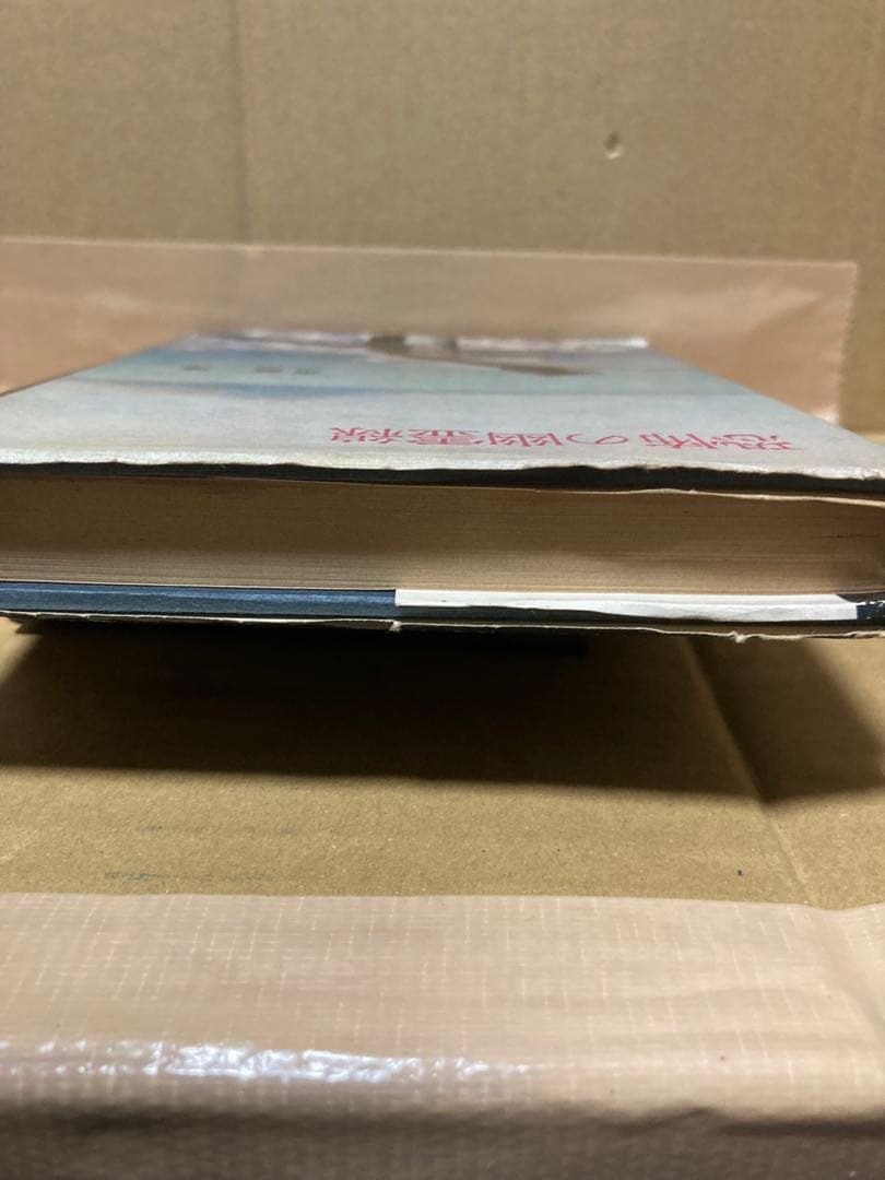 恐怖の幽霊線　舟崎淳