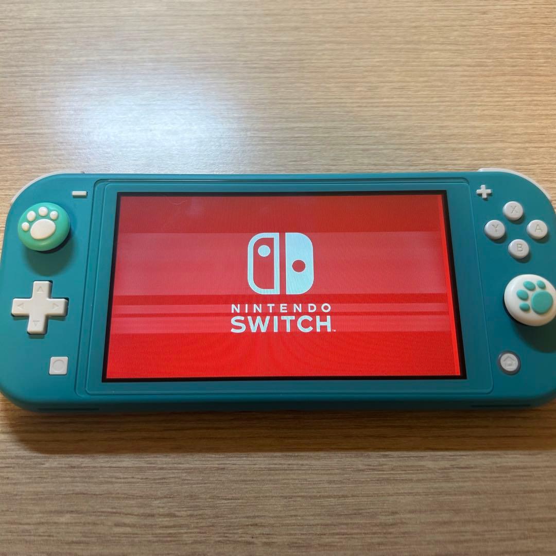 【画面に縦線あり】Nintendo Switch lite