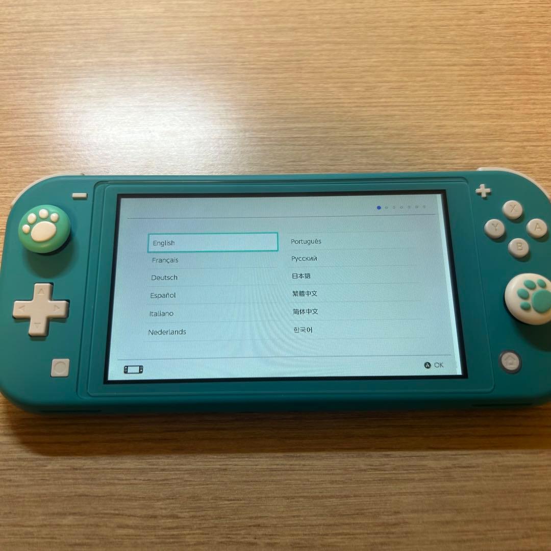【画面に縦線あり】Nintendo Switch lite