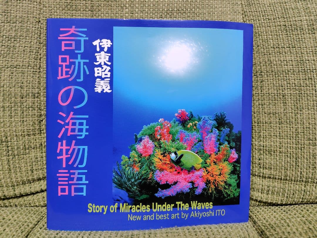 奇跡の海物語 伊東昭義