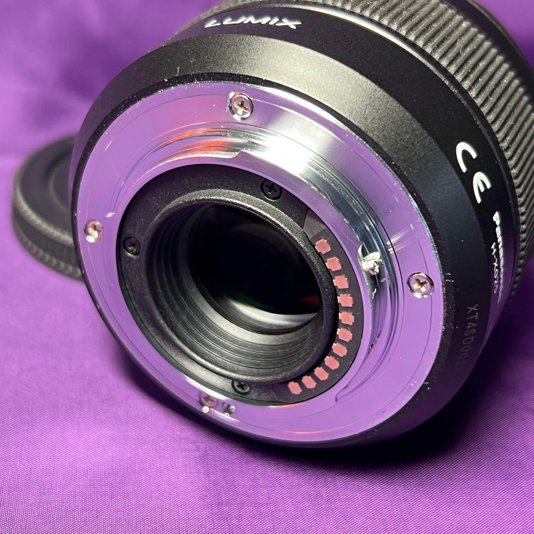 レンズ(単焦点) LEICA DG SUMMILUX 25mm/F1.4 ASPH. H-X025