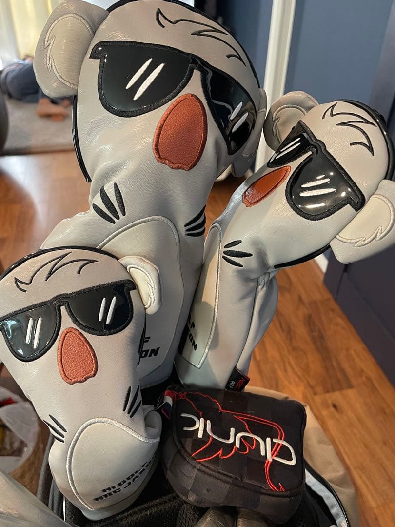 ゴルフクラブセット　レディース用　ゼクシオ　PING