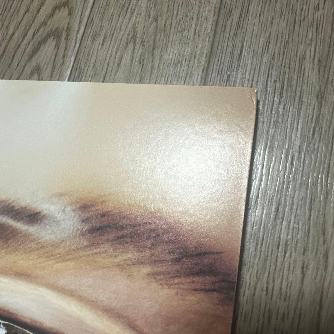 ドレスコーズ 平凡 レコード