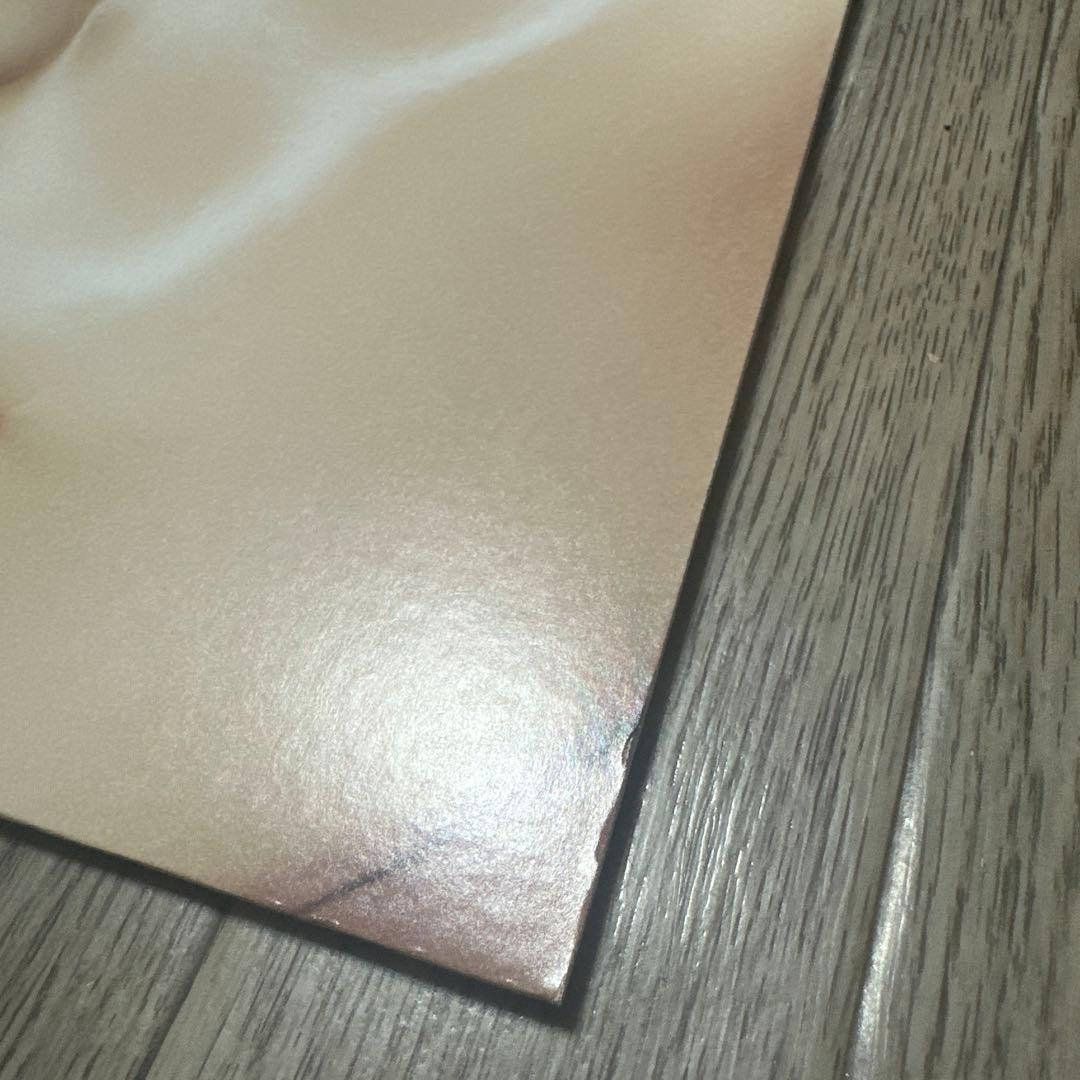 ドレスコーズ 平凡 レコード