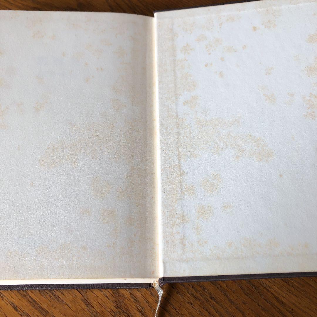 写真史　伊藤俊治